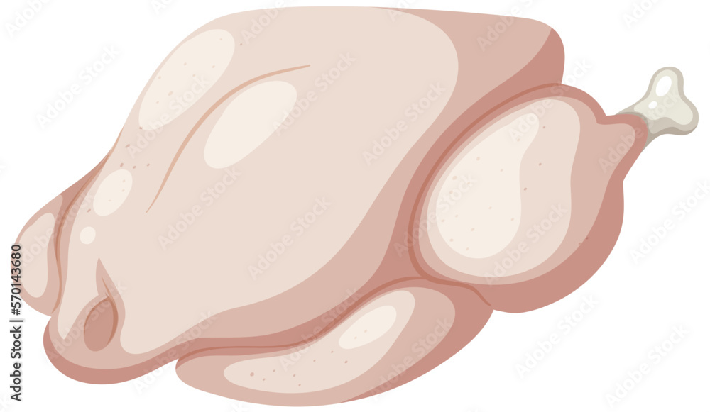 Raw chicken meat vector Raw chicken meat vector