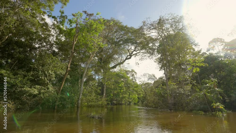 Point Of View Amazon River Amidst Green Tranquil Forest Trees Against Cloudy Sky - Manaus, Brazil Point Of View Amazon River Amidst Green Tranquil Forest Trees Against Cloudy Sky - Manaus, Brazil