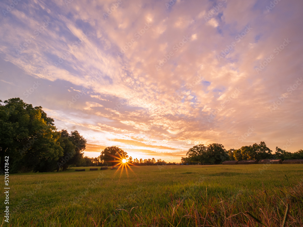 Sunset Over Field