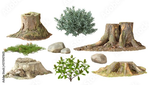 Forest nature collection set stub rock plants cutout backgrounds 3d rendering png photo