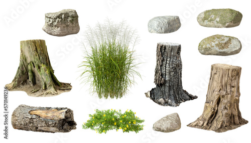 Cutout forest montage pack collection set stump wood shrubs rocks 3d rendering png photo