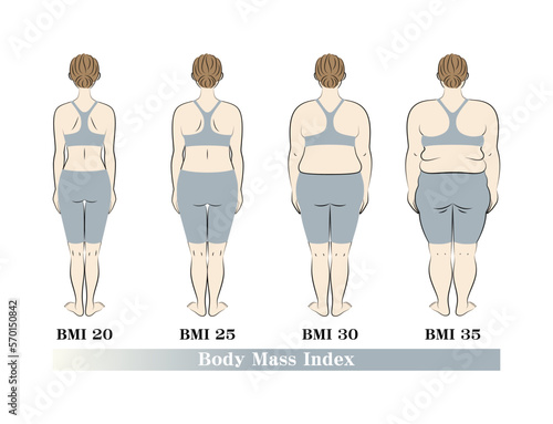 BMI指数別の体型変化 女性の後ろ姿 ダイエットのビフォーアフター イラスト ベクター