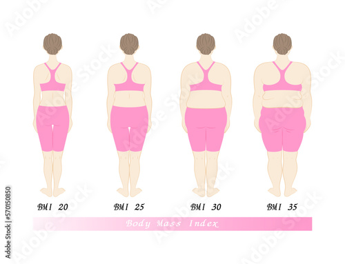 ボディマス指数別の体型変化 女性の後ろ姿  BMI (Body Mass Index) イラスト ベクター