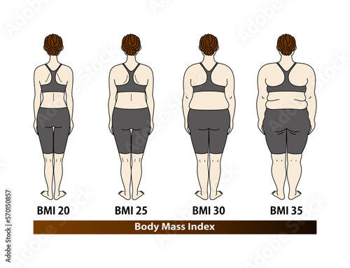 BMI指数別の体型変化 女性の後ろ姿 ダイエットのビフォーアフター イラスト ベクター