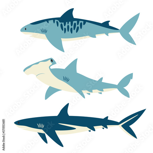 Set of different sharks. Sea inhabitants in flat style.