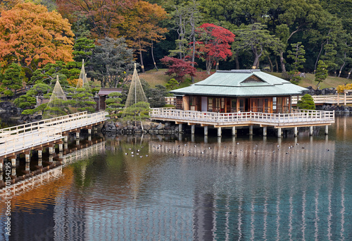 浜離宮恩賜庭園,中島の御茶屋,紅葉 photo