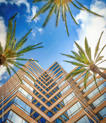 Look up view of a beautiful building with palm trees in Burbank California photo