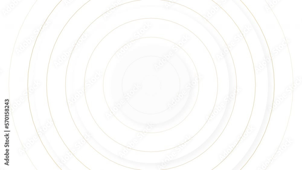White minimal geometry abstract background with elegant golden circles motion design. Seamless loop animation. 4K footage White minimal geometry abstract background with elegant golden circles motion design. Seamless loop animation. 4K footage
