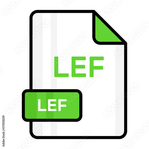An amazing vector icon of LEF file, editable design