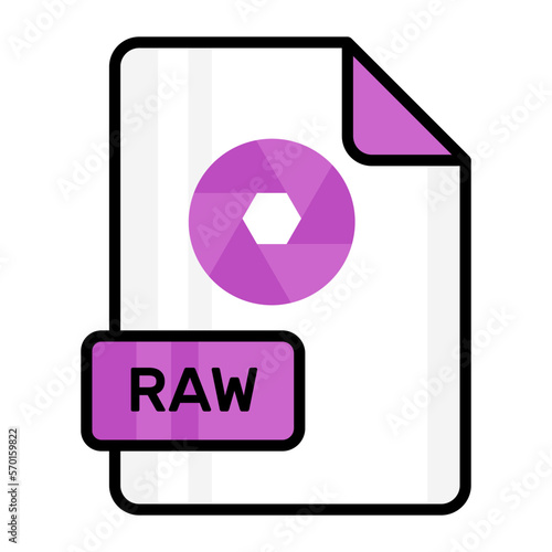 An amazing vector icon of RAW file, editable design
