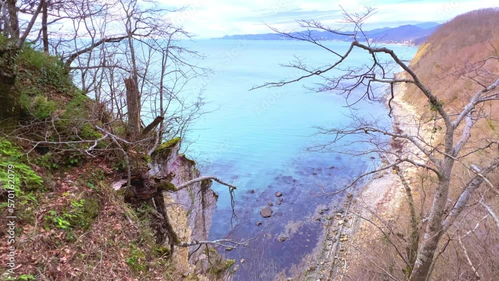 Panoramic view of the Black Sea coast from the mountain through the branches of trees. View of the blue water and the rocky seashore from the Kiselyov cliff. 4K Panoramic view of the Black Sea coast from the mountain through the branches of trees. View of the blue water and the rocky seashore from the Kiselyov cliff. 4K