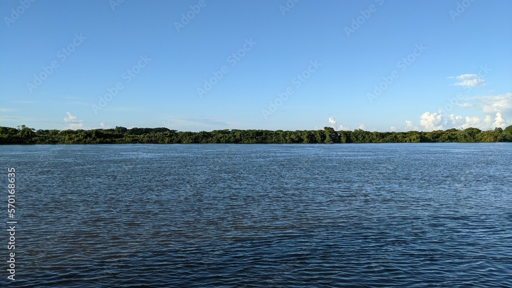 landscape with the papaloapan river in the state of veracruz, jungle, rainforest, natural reserve