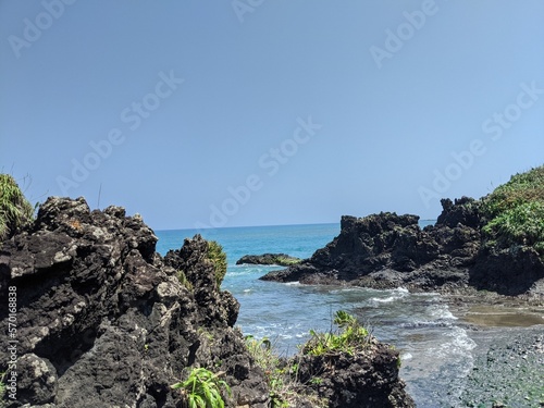rocky coast of the sea with a very healthy forest full of trees and blue water in veracruz, roca partida region, tuxtlas, mexico, america