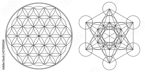 Flower of Life metatron Cube