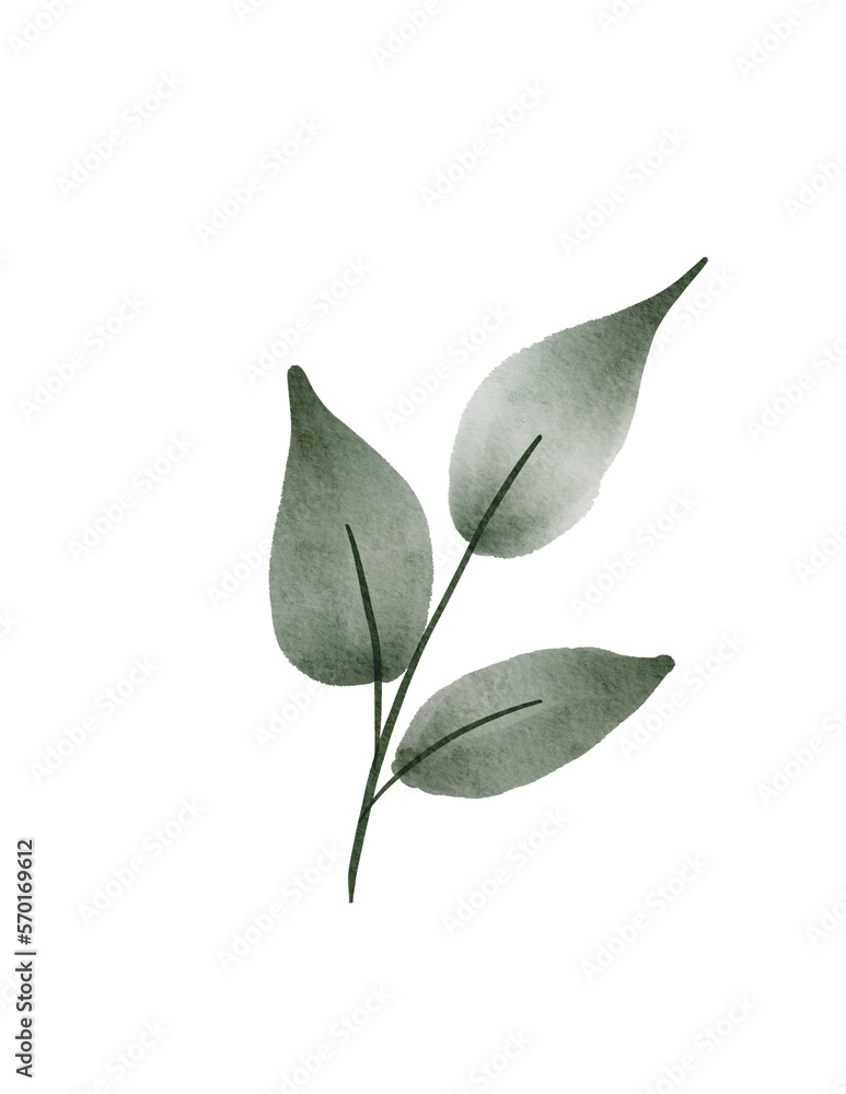 Obraz premium watercolor green leaves botanical illustration png