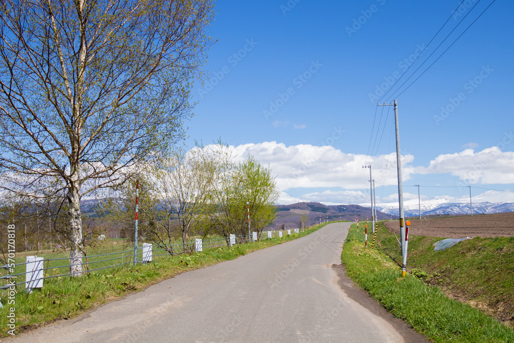 春の丘陵畑作地帯を通る道と青空
