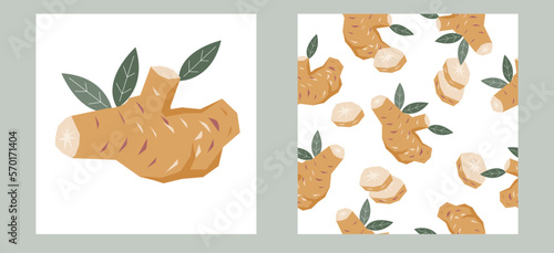 Ginger or turmeric design kit with ginger root image and matching seamless decorative pattern, hand drawn flat vector illustration. Seamless texture and composition set for ginger and tea packs.