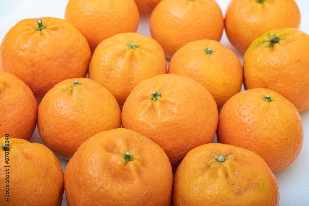 tangerine on a white background.
How to choose, store and how much you can eat so as not to harm the body. tangerine on a white background.
How to choose, store and how much you can eat so as not to harm the body.