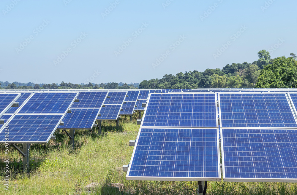 polycrystalline silicon solar cells or photovoltaic cells in solar power plant turn up skyward absorb the sunlight from the sun polycrystalline silicon solar cells or photovoltaic cells in solar power plant turn up skyward absorb the sunlight from the sun