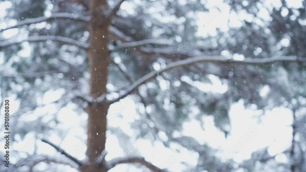 雪　スローモーション　２４０fps