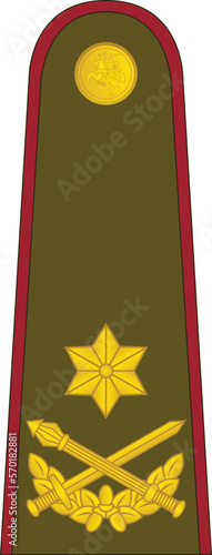 Shoulder pad military officer mark for the BRIGADOS GENEROLAS (BRIGADIER GENERAL) insignia rank in the  Lithuanian Land Force