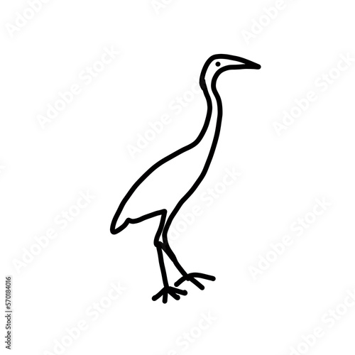 long leg crane bird