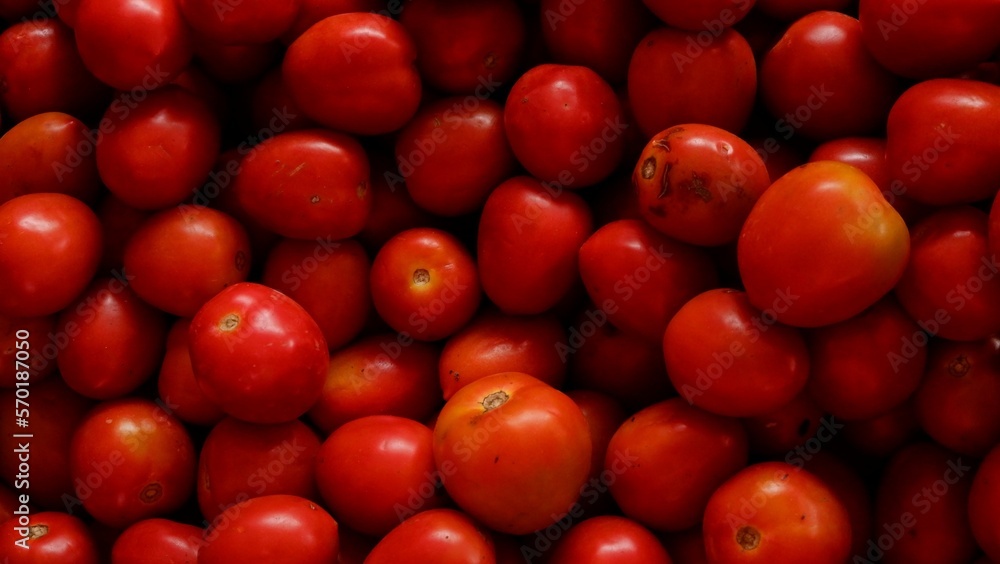 red tomatoes in market red tomatoes in market