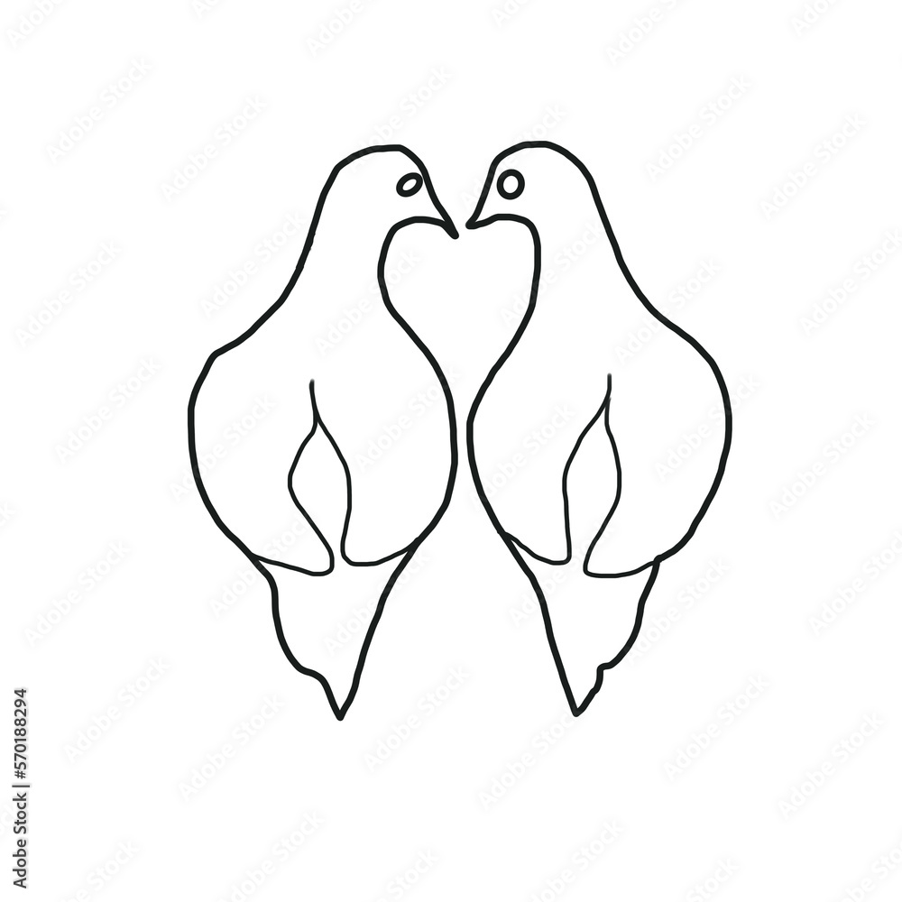 couple dove love bird