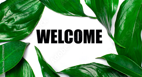 Against the background of green natural leaves, a white card with the text WELCOME