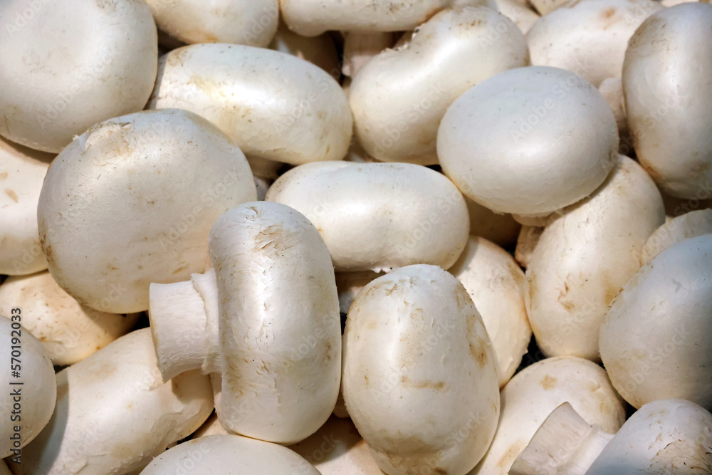 closeup of fresh white mushrooms