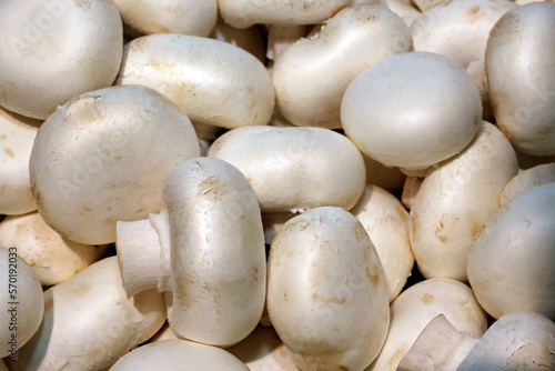 closeup of fresh white mushrooms