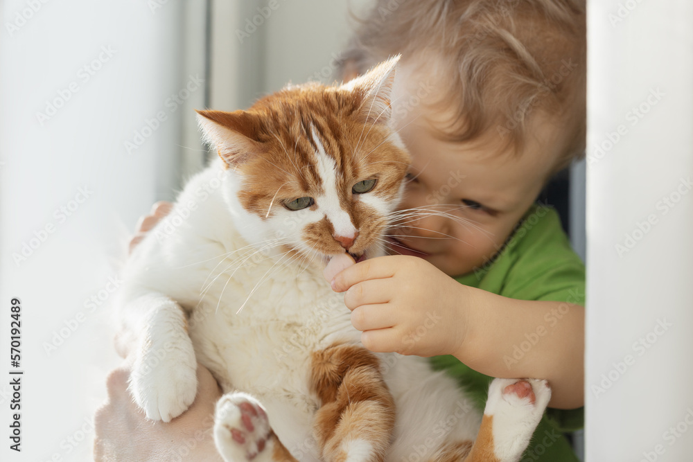 A small cute child gently embraces a red fluffy cat