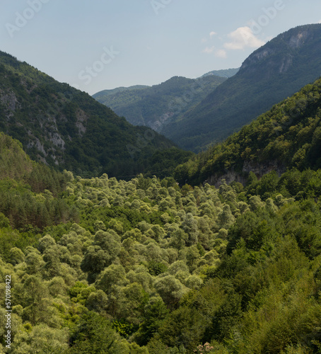 Rhodopes  are a mountain range in Southeastern Europe. Bulgaria. Panorama. The forest area covers the mountains.