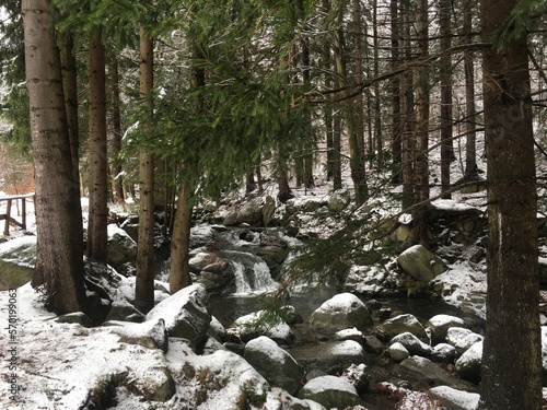 Górski potok zimą