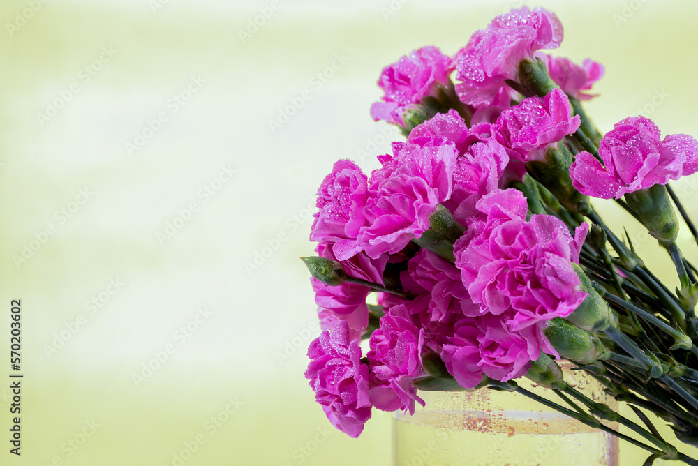 bunch of carnation flowers