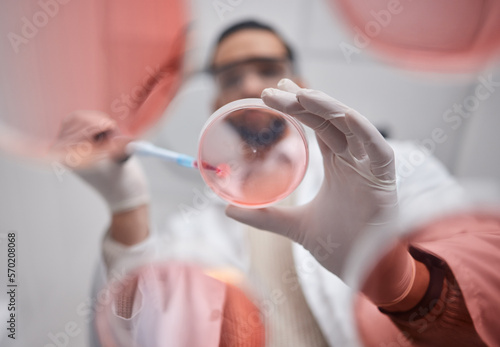 Scientist, petri dish and pharma test worker man working on science research in a laboratory. Medical container, study and analytics of a pharmaceutical solution of a lab with hospital data photo