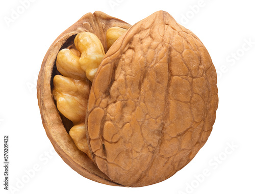 Delicious walnut cut out