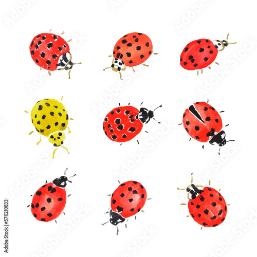 Ladybug, red insect, beetle, bugs, yellow ladybug, watercolor illustration 