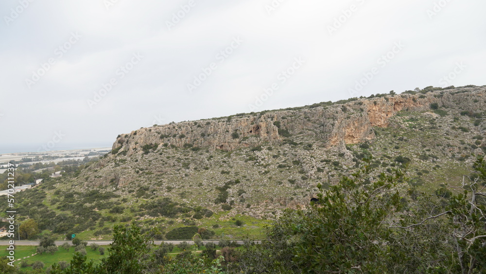 Landscape in Nahal (creek) Oren, at the west side of Mount Carmel Landscape in Nahal (creek) Oren, at the west side of Mount Carmel