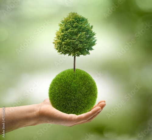 Grüner Baum in einer Hand vor grünem Hintergrund