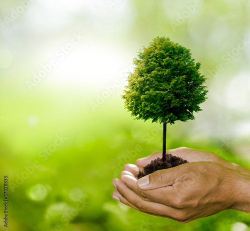 Grüner Baum in einer Hand vor grünem Hintergrund