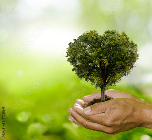 Grüner Baum in einer Hand vor grünem Hintergrund