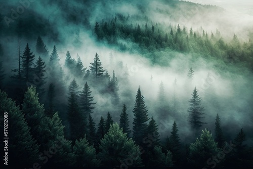 A view of a foggy forest from above. Generative ai composite.