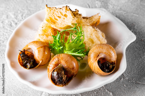 fred grape snails with garlic butter Fototapet