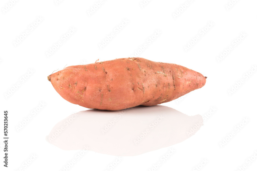Sweet potato on the white background Sweet potato on the white background