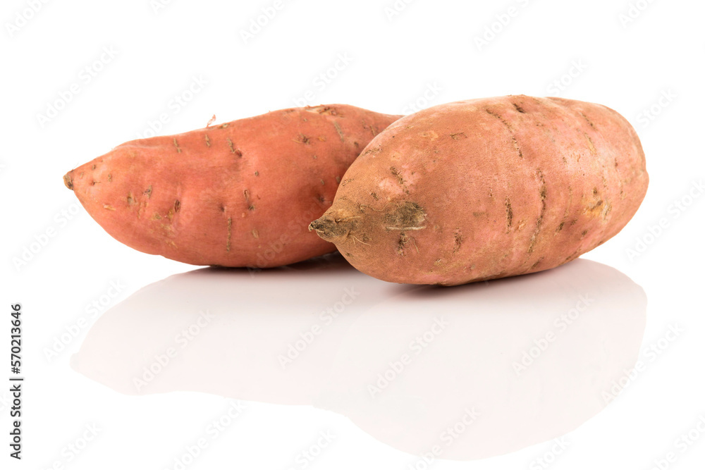Sweet potato on the white background Sweet potato on the white background