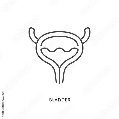 Outline style health care ui icons collection. Vector black linear illustration. Bladder anatomy symbol isolated on white background. Design element for healthcare, urinary system urology infographic