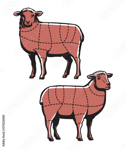 Lamb cutting. Sheep meat chart cut guide for butcher shop or restaurant. Butchery cuts diagram vector illustration