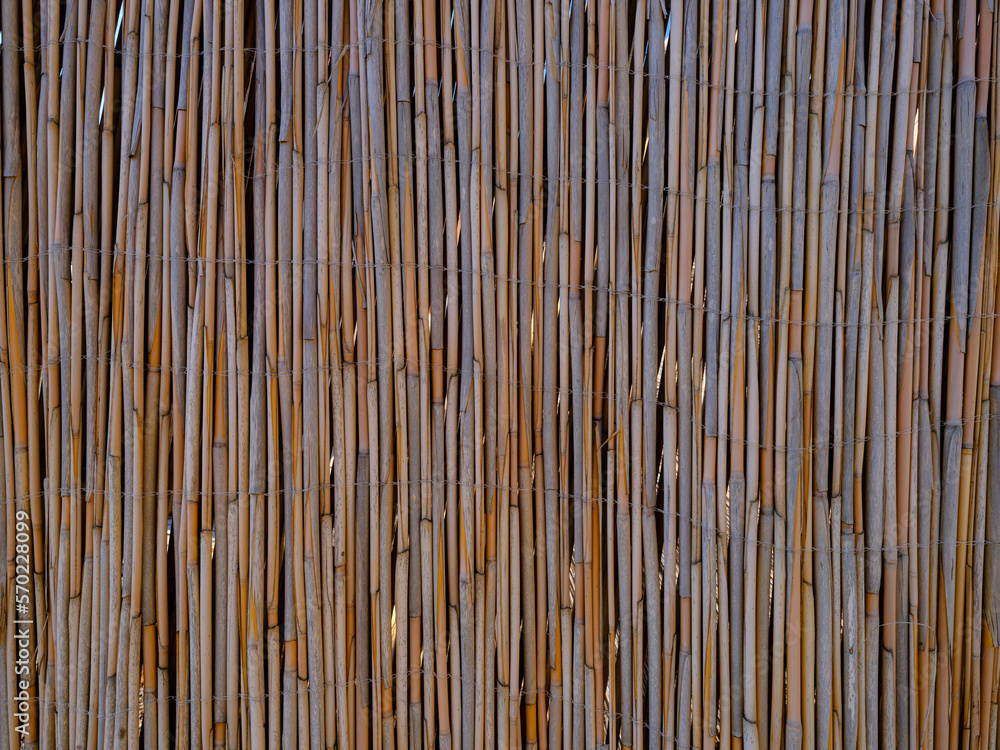 a wall texture from old reeds a wall texture from old reeds