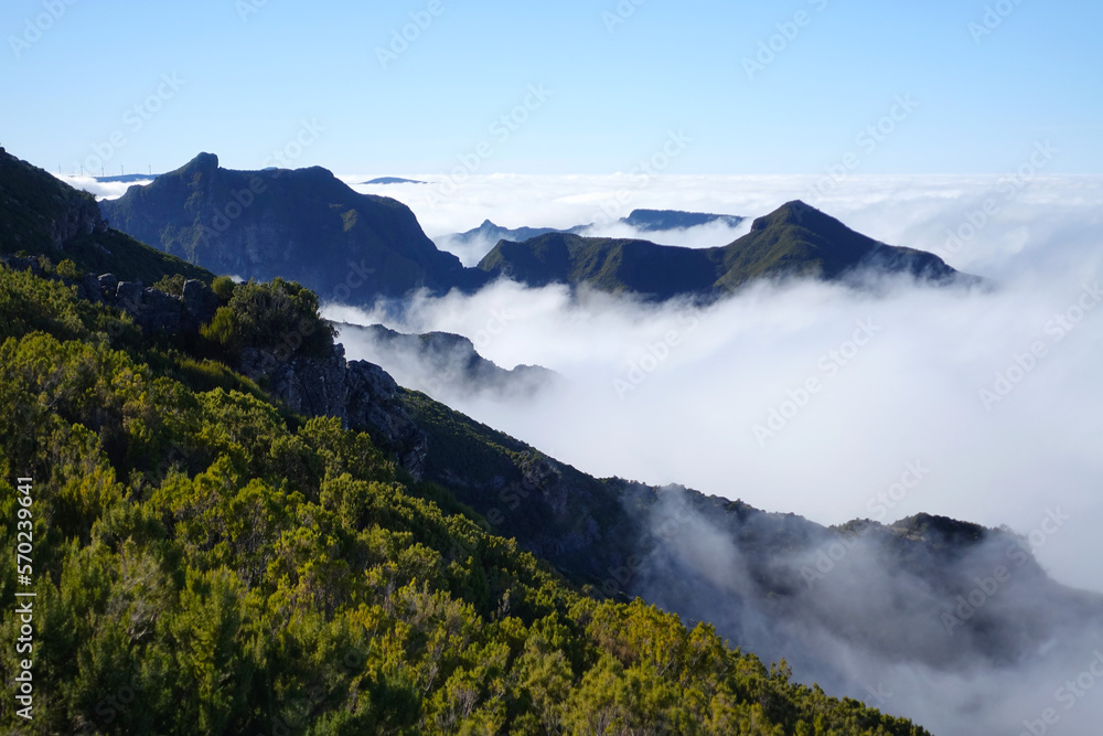 Above the clouds in Madeira, with tree covered hills shing green in the sunshine. Blue sky above.